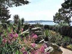 130 Ile de Batz Jardin Georges Delaselle_000015
